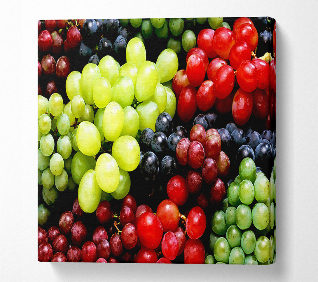  A Canvas Print of Nothing But Grapes Canvas Print