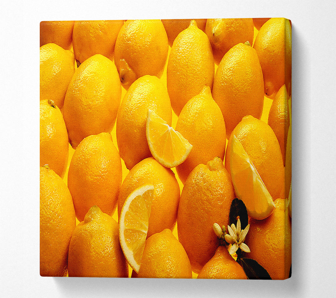  A Canvas Print of Lemons Canvas Art