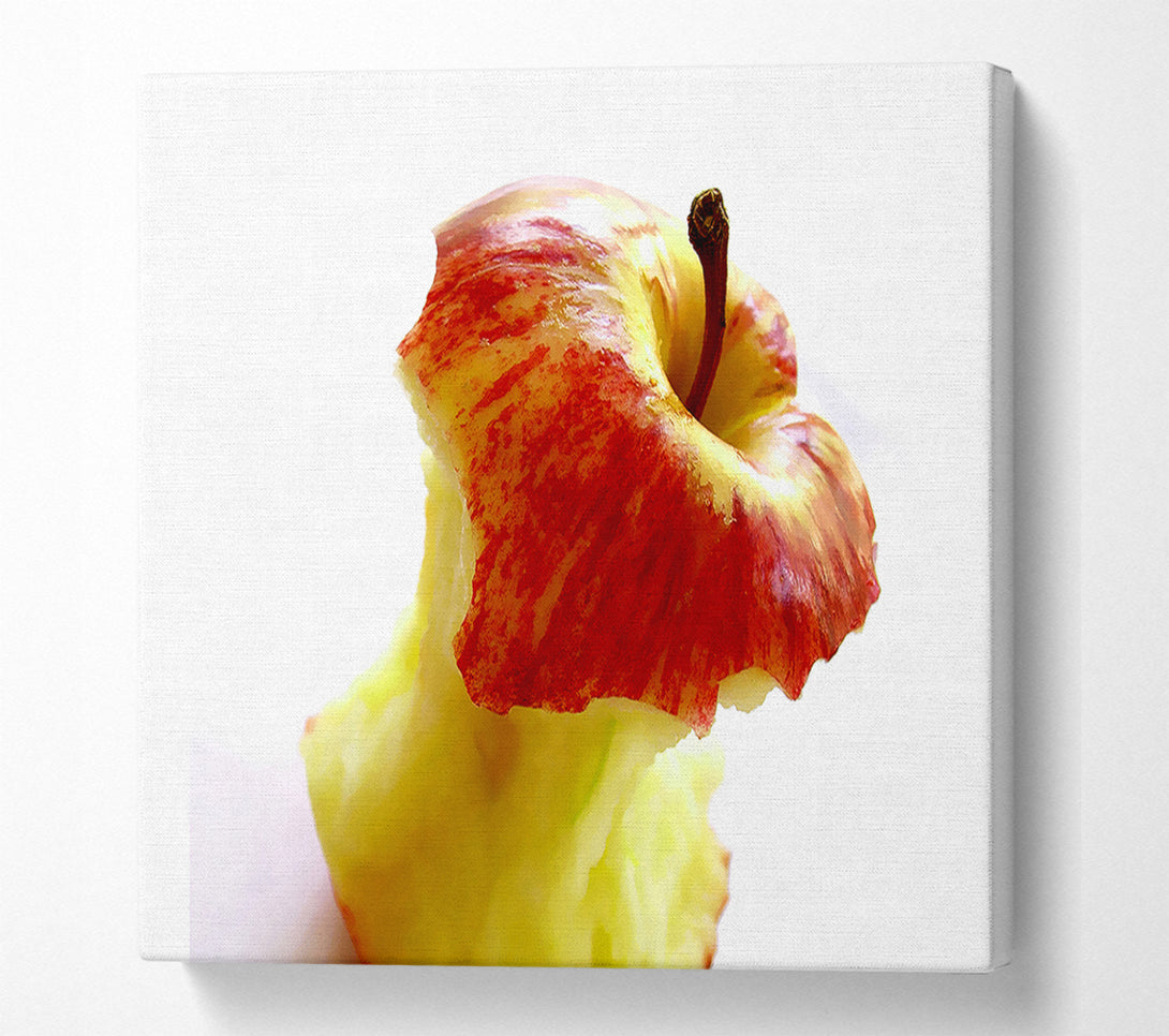  A Canvas Print of The Core Of An Apple Canvas Wall Art