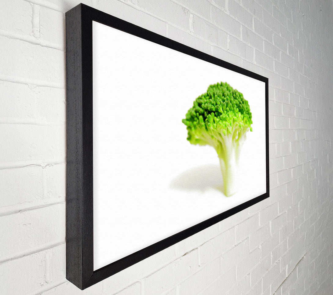  A Canvas Print of Brocolli Stem Canvas Art