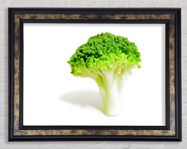Brocolli Stem Framed Print