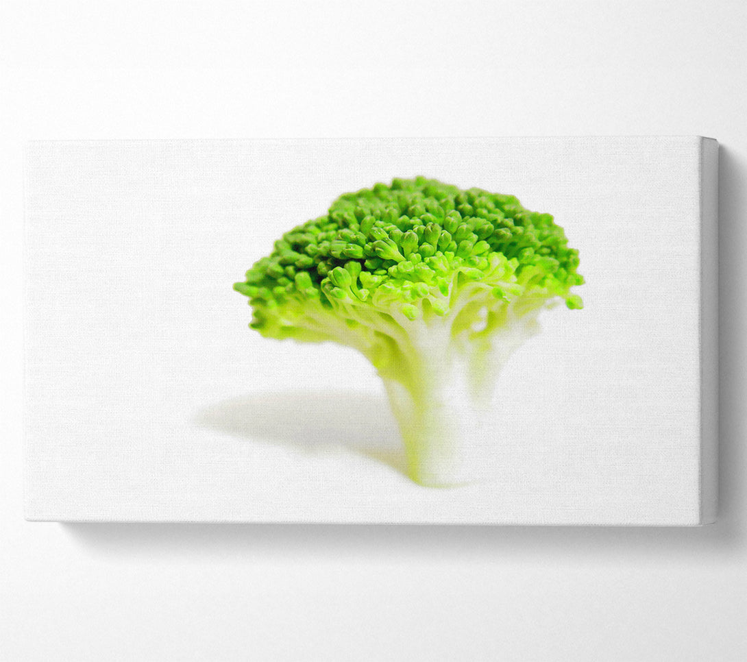  A Canvas Print of Brocolli Stem Canvas Art