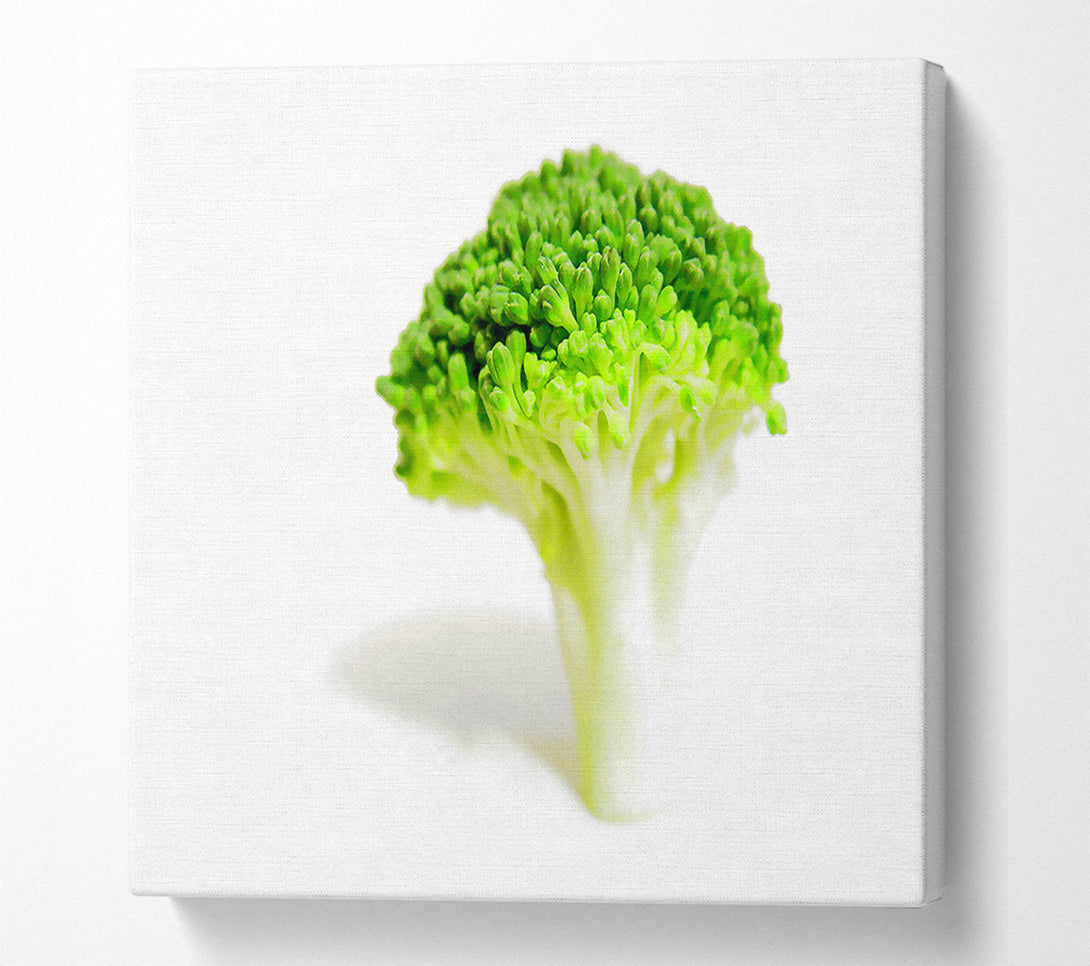  A Canvas Print of Brocolli Stem Canvas Art