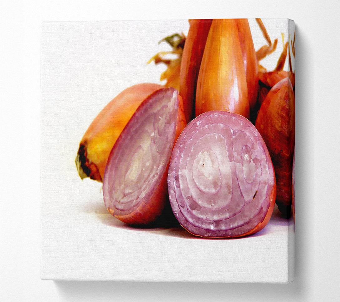  A Canvas Print of Onion Affair Canvas Wall Art