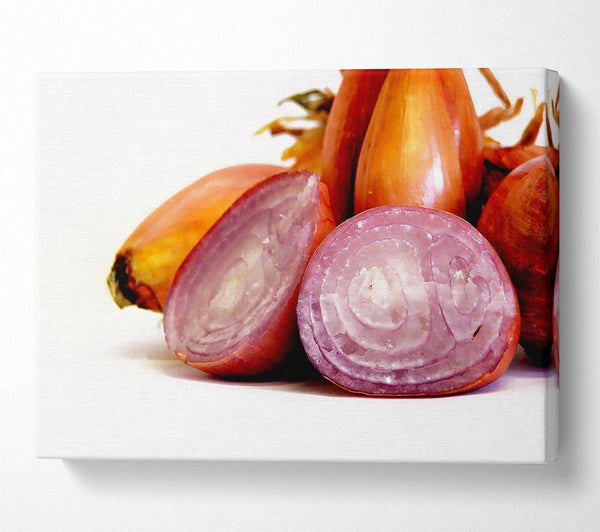  A Canvas Print of Onion Affair Canvas Wall Art