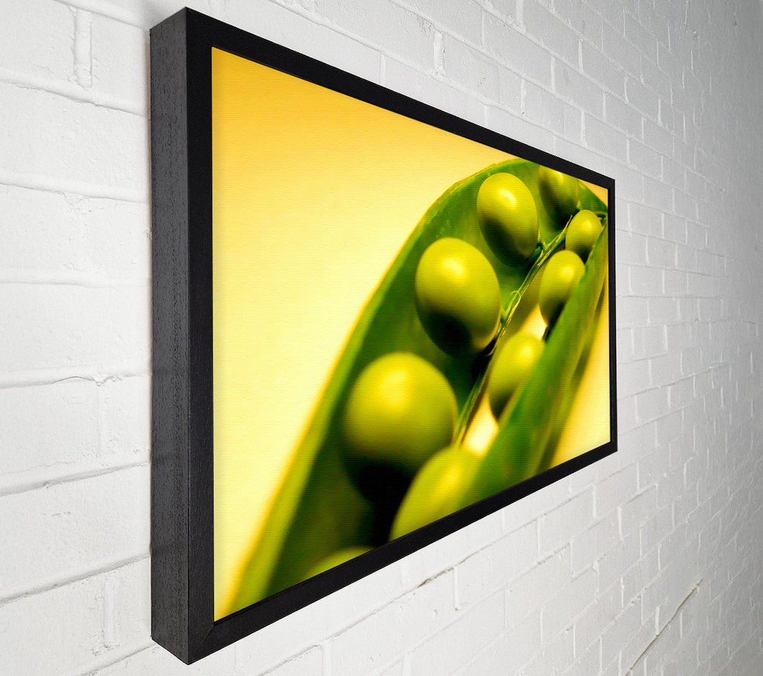  A Canvas Print of Pea Pod Canvas Wall Art