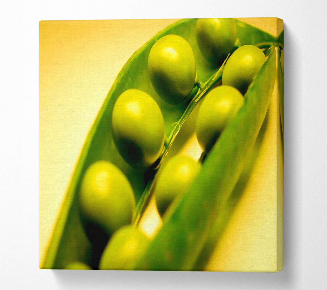  A Canvas Print of Pea Pod Canvas Wall Art