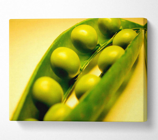  A Canvas Print of Pea Pod Canvas Wall Art