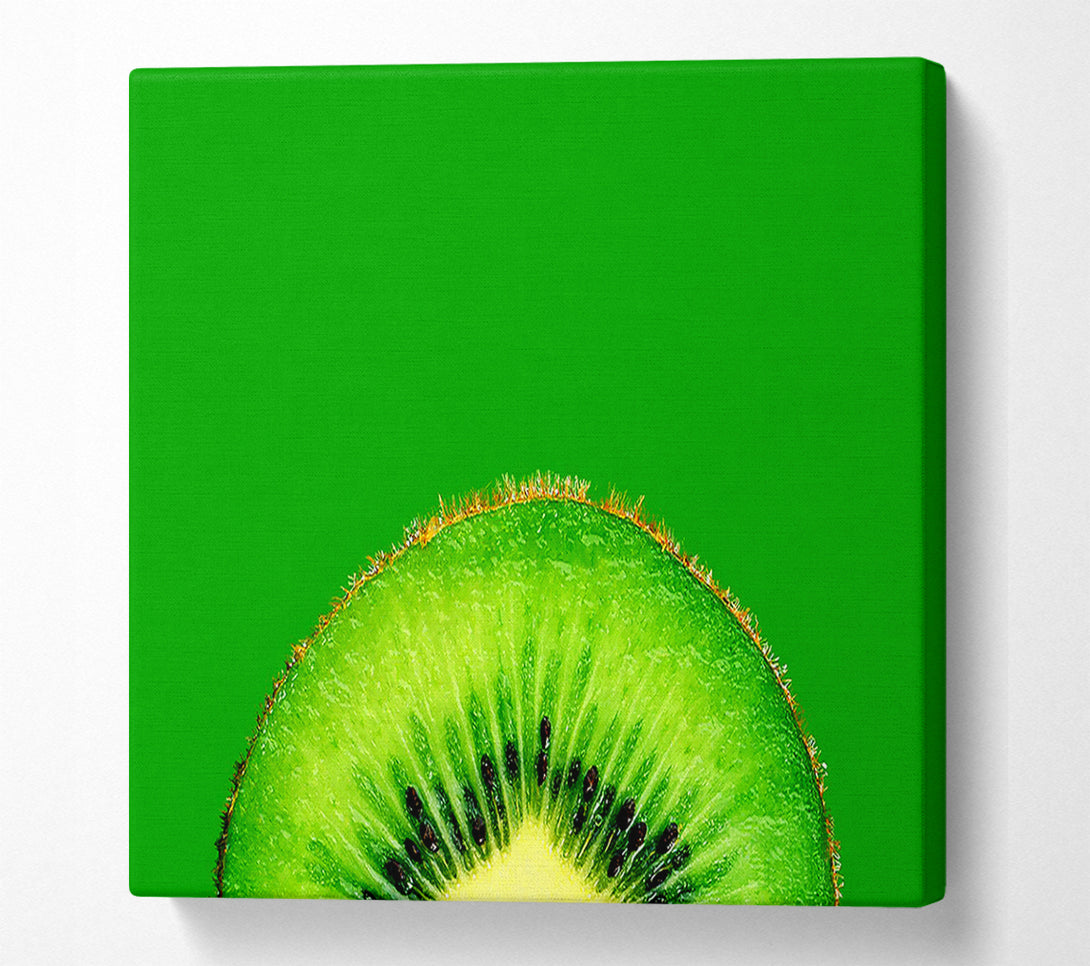  A Canvas Print of Kiwi Centre Canvas Print