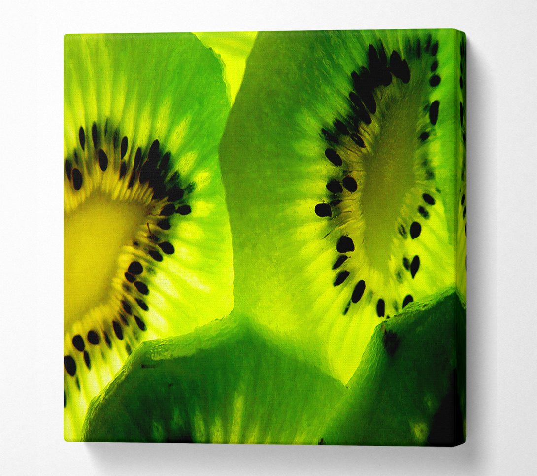  A Canvas Print of Kiwi Close-Up Canvas Print