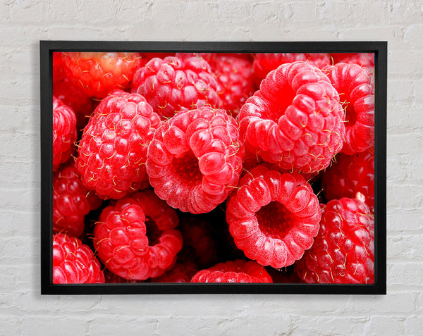 Raspberry Delight Framed Print