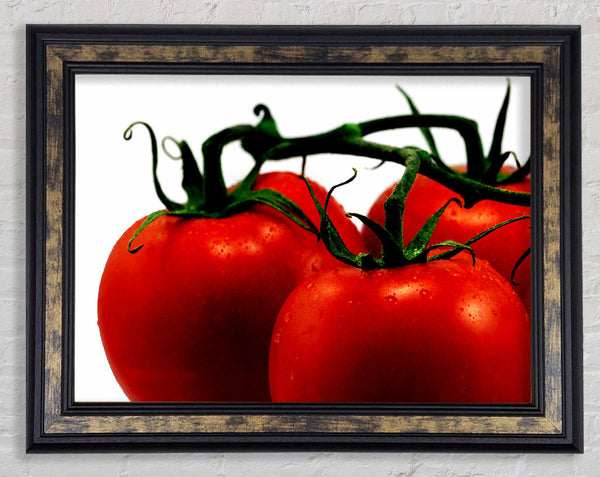 Tomato Trio Framed Print