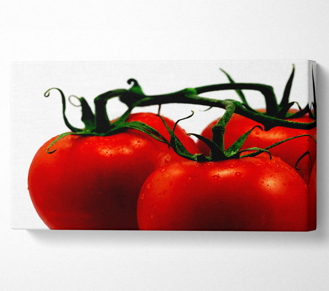  A Canvas Print of Tomato Trio Canvas Print