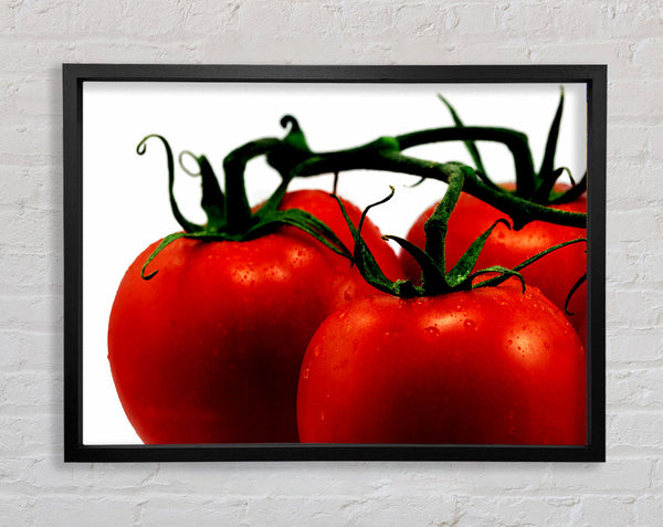 Tomato Trio Framed Print