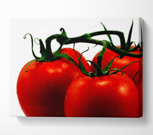  A Canvas Print of Tomato Trio Canvas Print