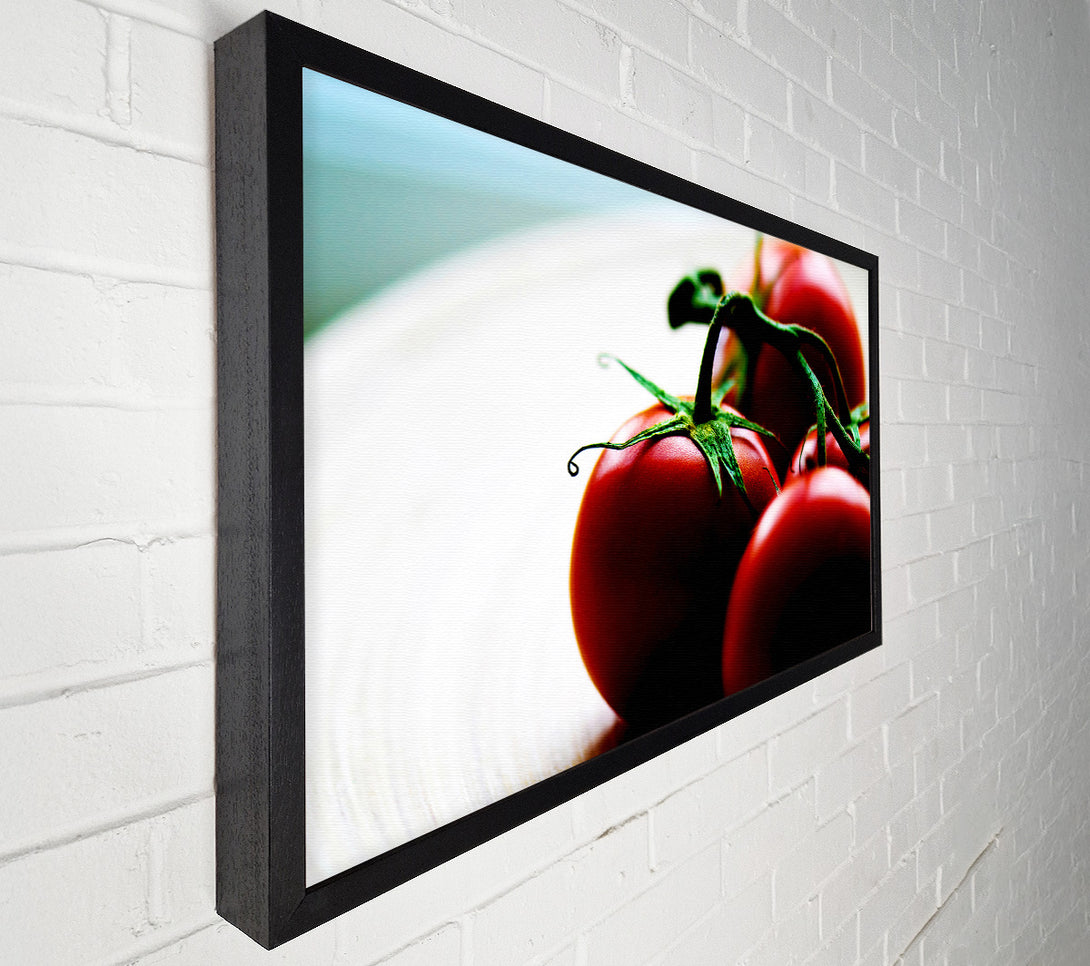  A Canvas Print of Tomato Stalk Canvas Print