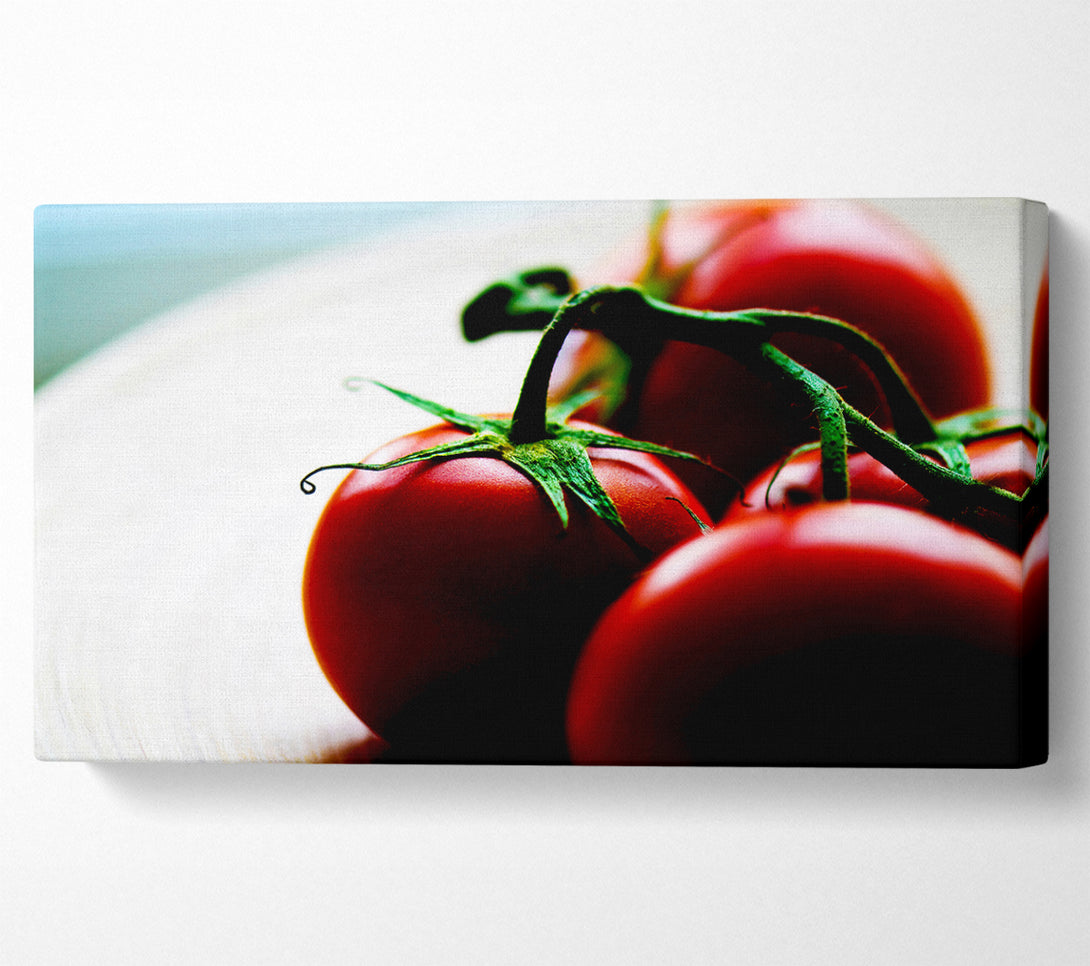  A Canvas Print of Tomato Stalk Canvas Print