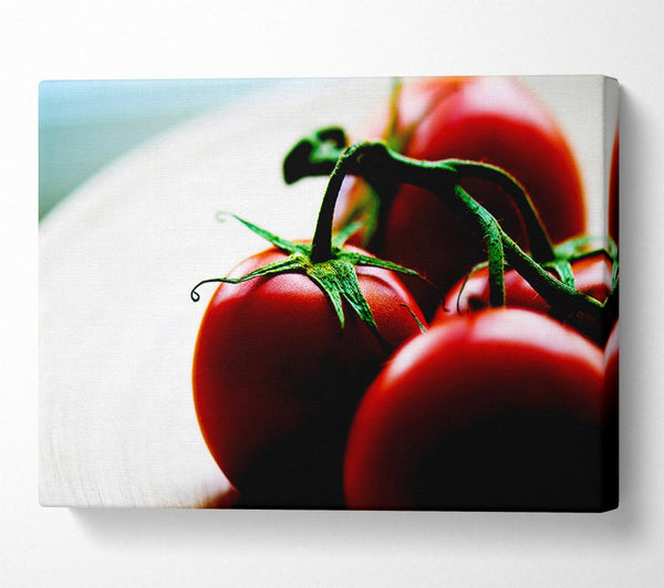  A Canvas Print of Tomato Stalk Canvas Print