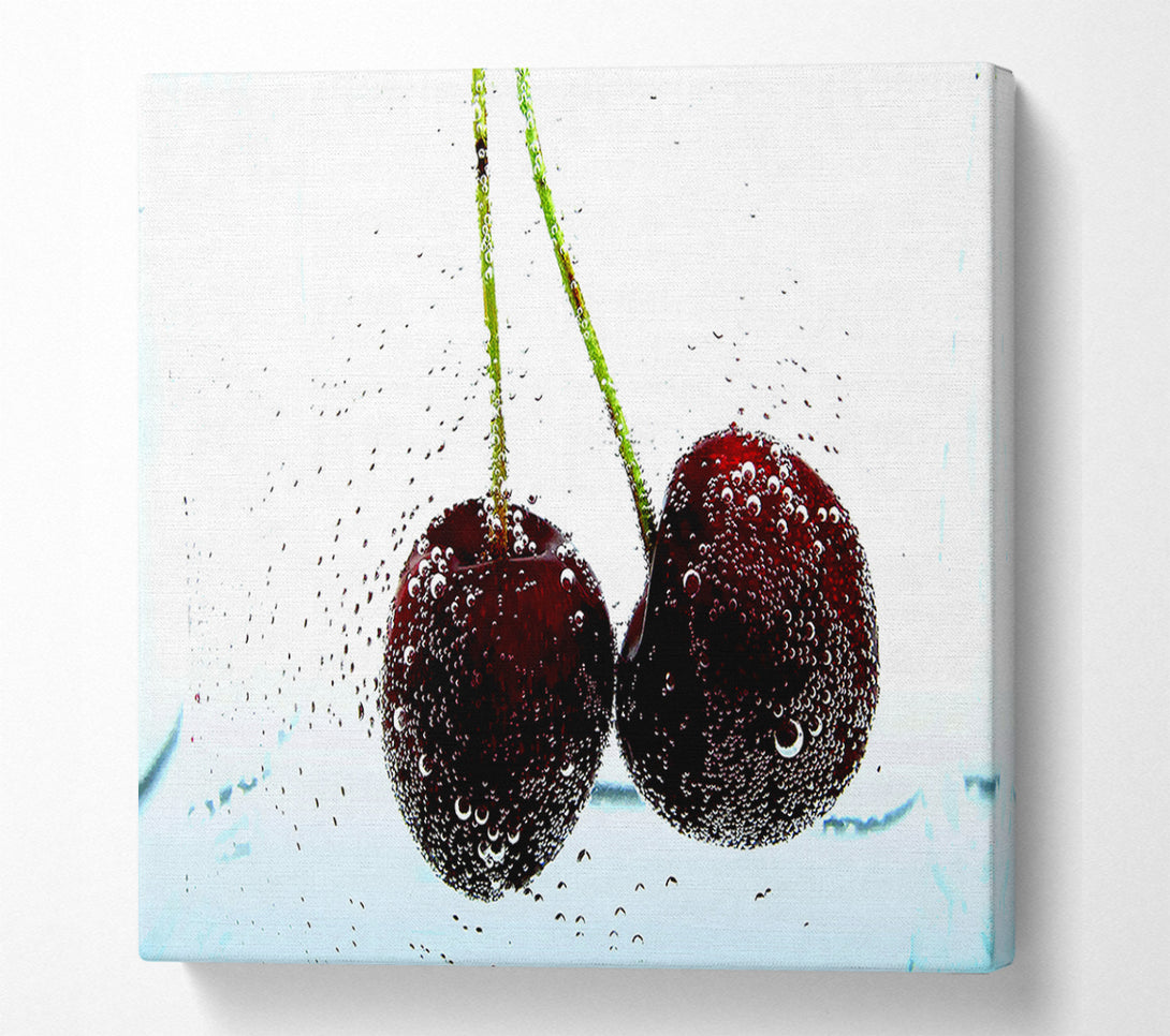  A Canvas Print of Twin Cherry Fizz Canvas Wall Art