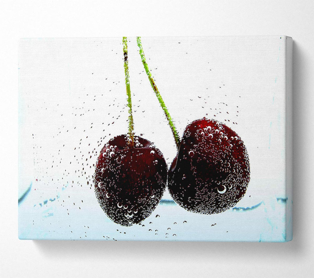  A Canvas Print of Twin Cherry Fizz Canvas Wall Art