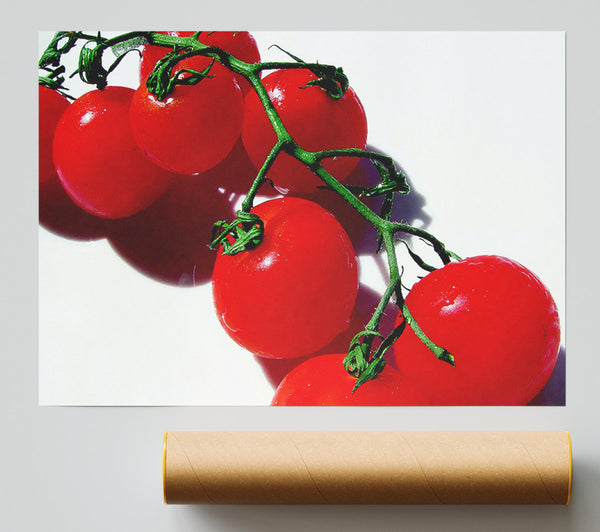 Red Cherry Tomato Vine Poster