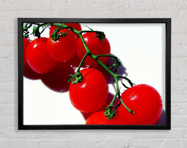 Red Cherry Tomato Vine Framed Print