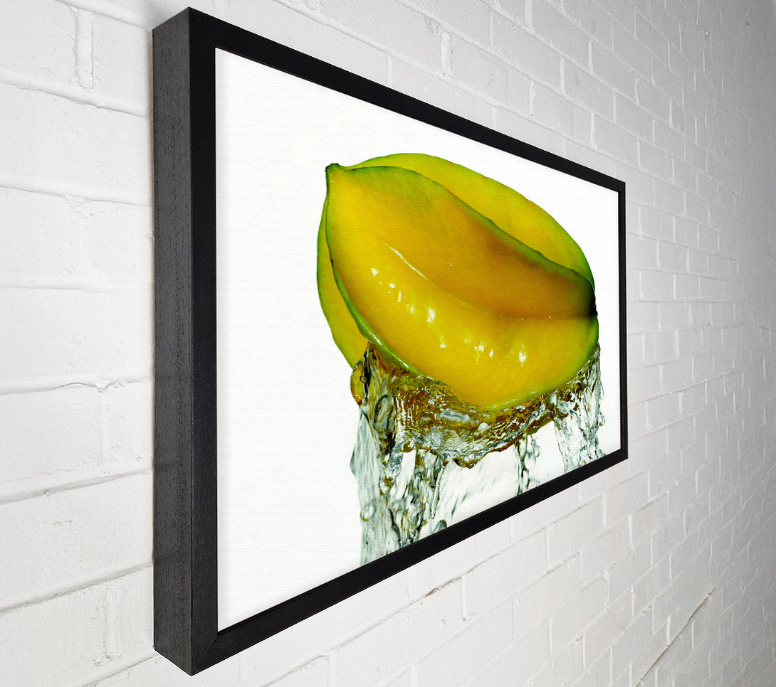  A Canvas Print of Exotic Splash Canvas Print