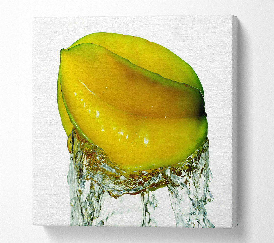  A Canvas Print of Exotic Splash Canvas Print
