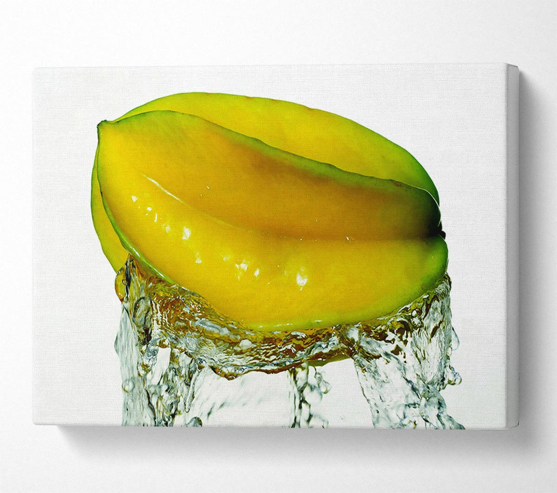  A Canvas Print of Exotic Splash Canvas Print