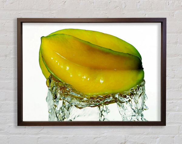 Exotic Splash Framed Print