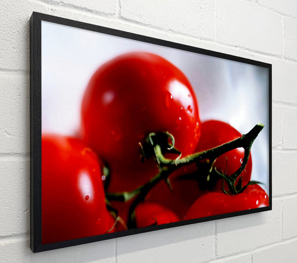 Cherry Tomato Vine