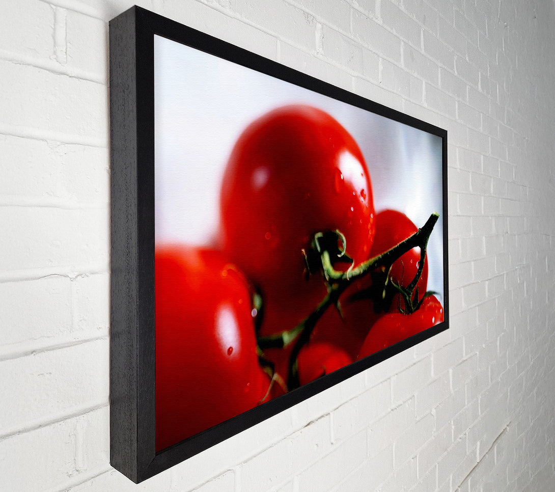 A Canvas Print of Cherry Tomato Vine Canvas Wall Art