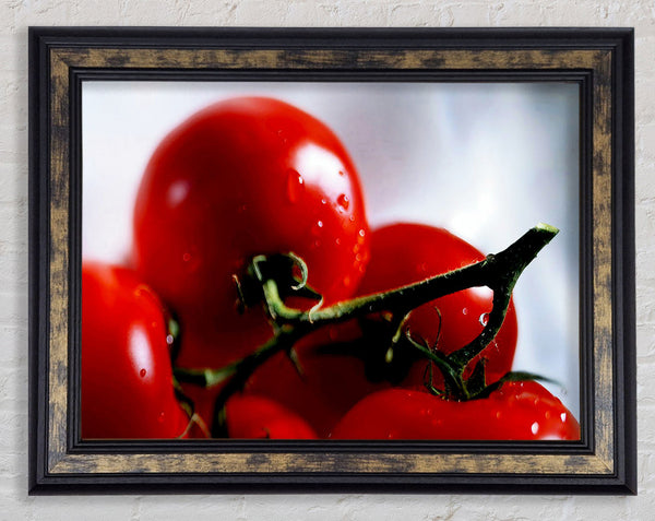 Cherry Tomato Vine Framed Print