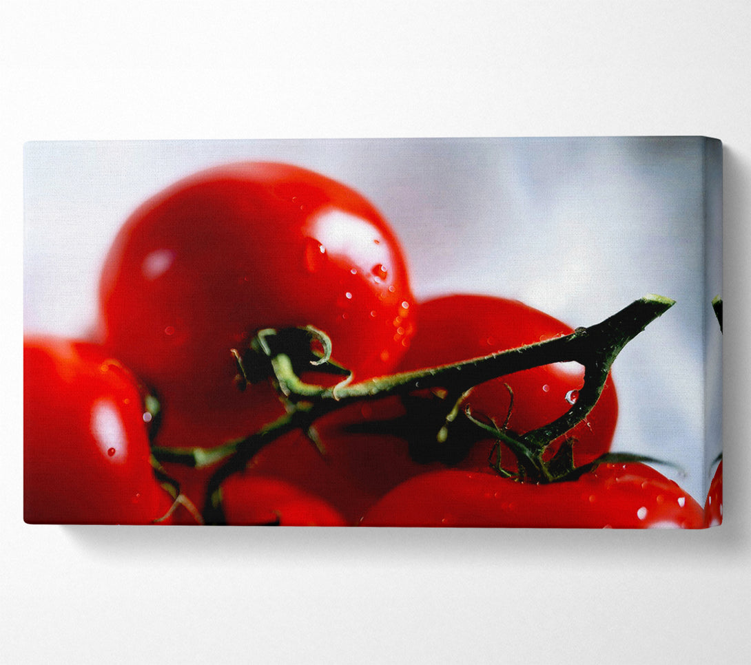  A Canvas Print of Cherry Tomato Vine Canvas Wall Art