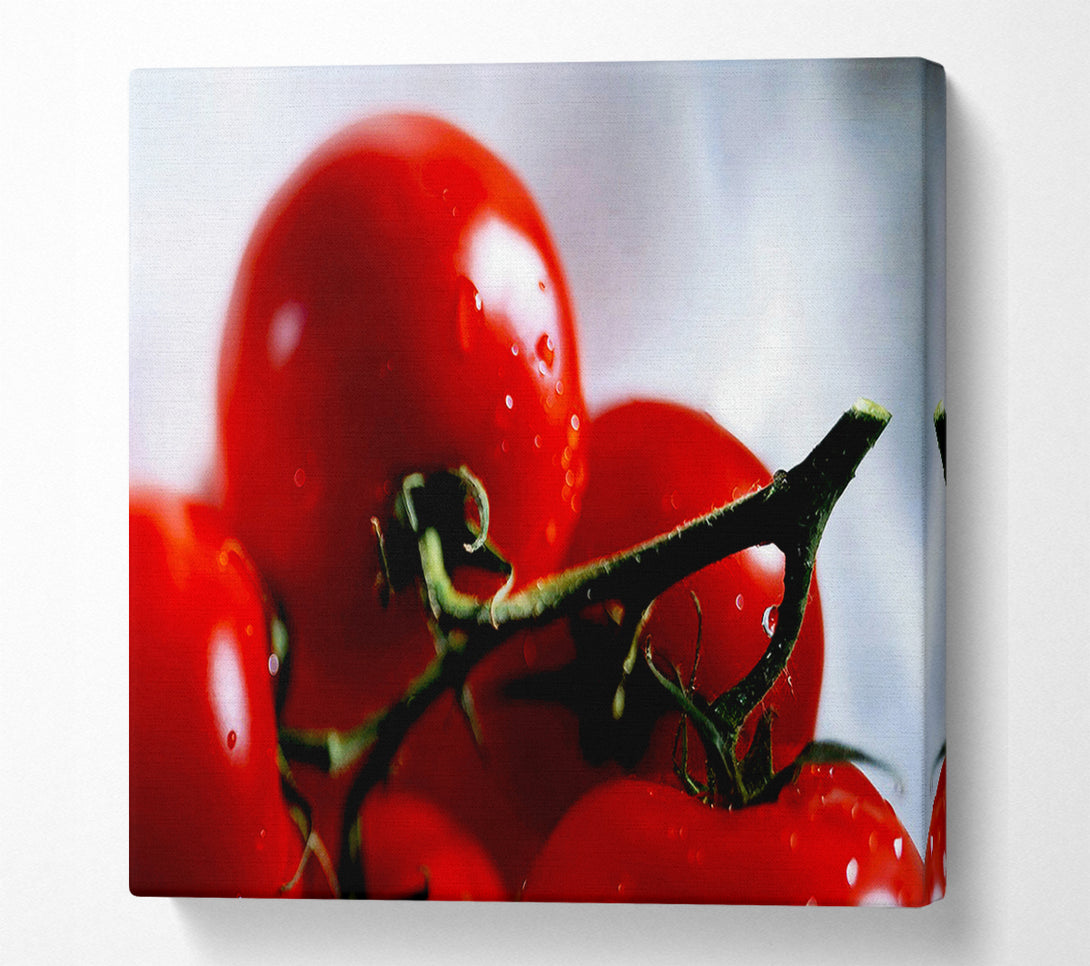  A Canvas Print of Cherry Tomato Vine Canvas Wall Art