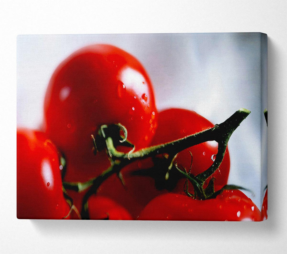  A Canvas Print of Cherry Tomato Vine Canvas Wall Art