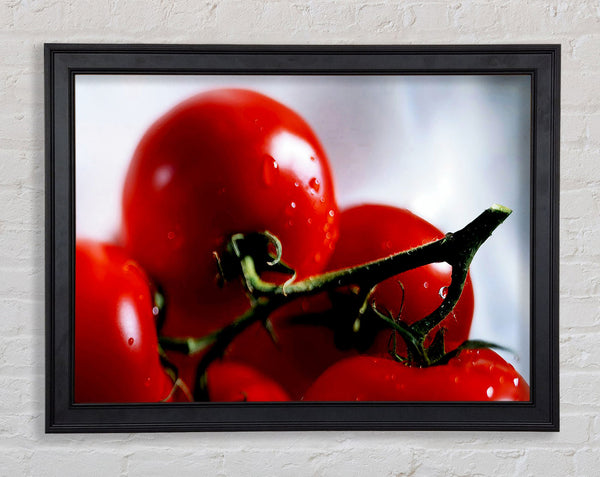 Cherry Tomato Vine Framed Print