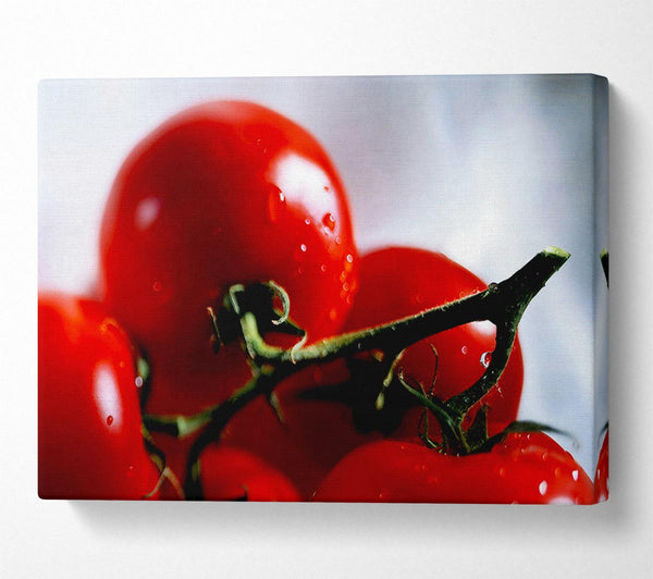  A Canvas Print of Cherry Tomato Vine Canvas Wall Art