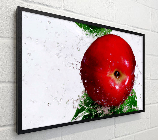Red Splash