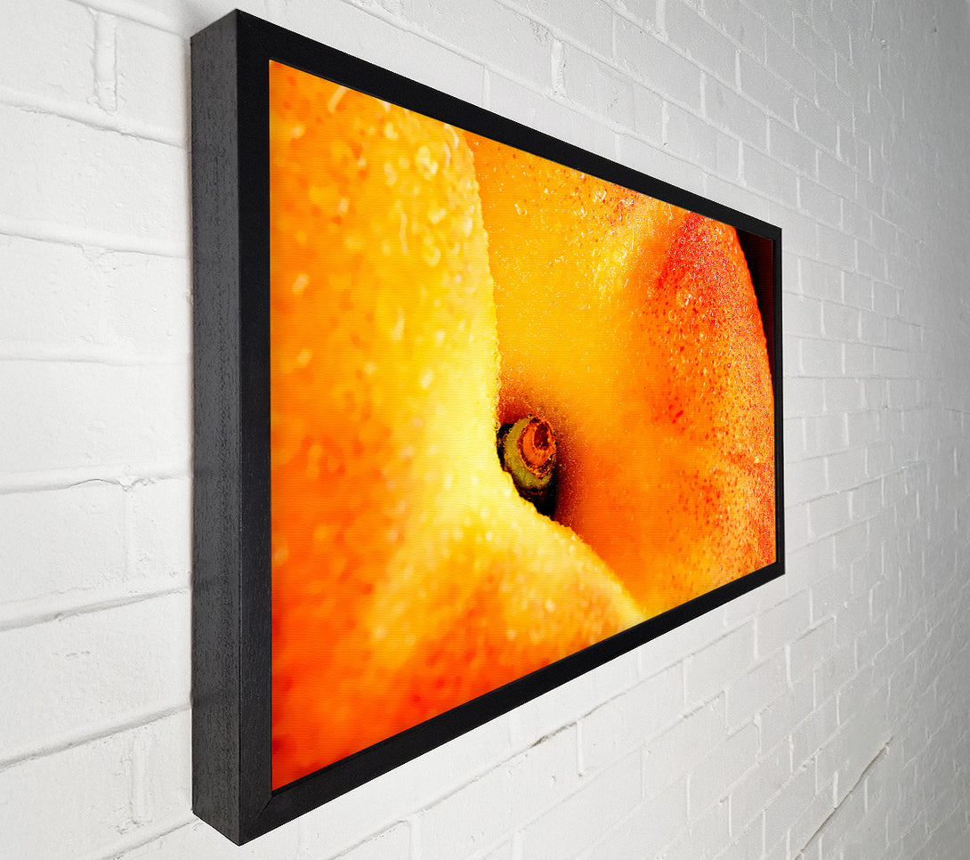  A Canvas Print of Peach Close-Up Canvas Print