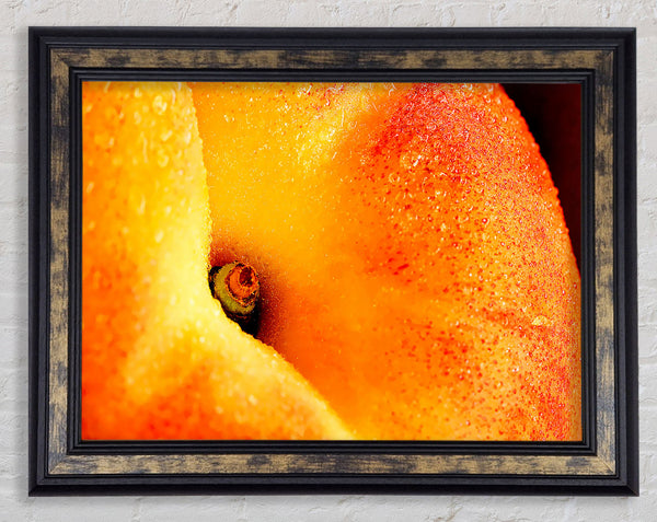 Peach Close-Up Framed Print