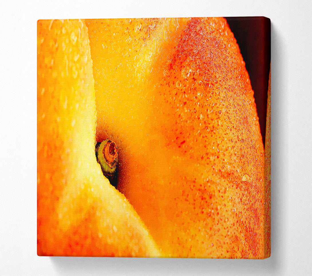  A Canvas Print of Peach Close-Up Canvas Print