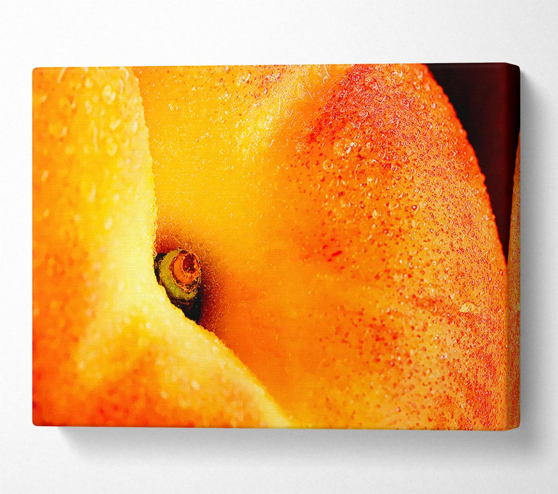  A Canvas Print of Peach Close-Up Canvas Print