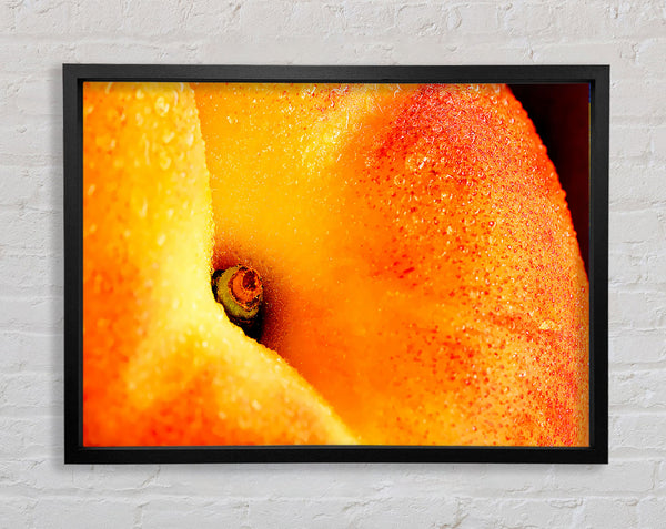 Peach Close-Up Framed Print