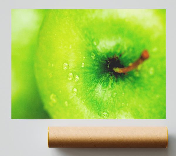 Dewdrop Apple Giclee Print
