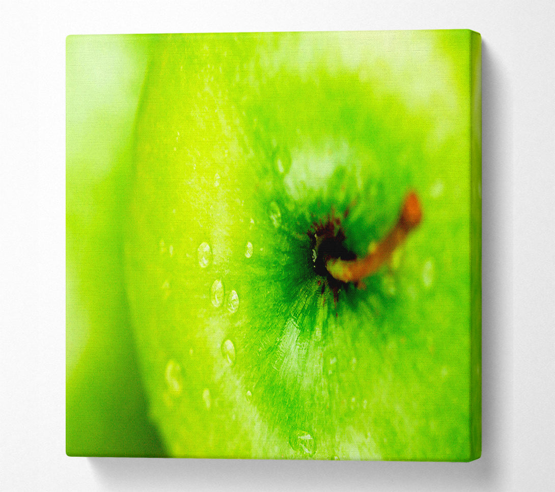  A Canvas Print of Dewdrop Apple Canvas Art