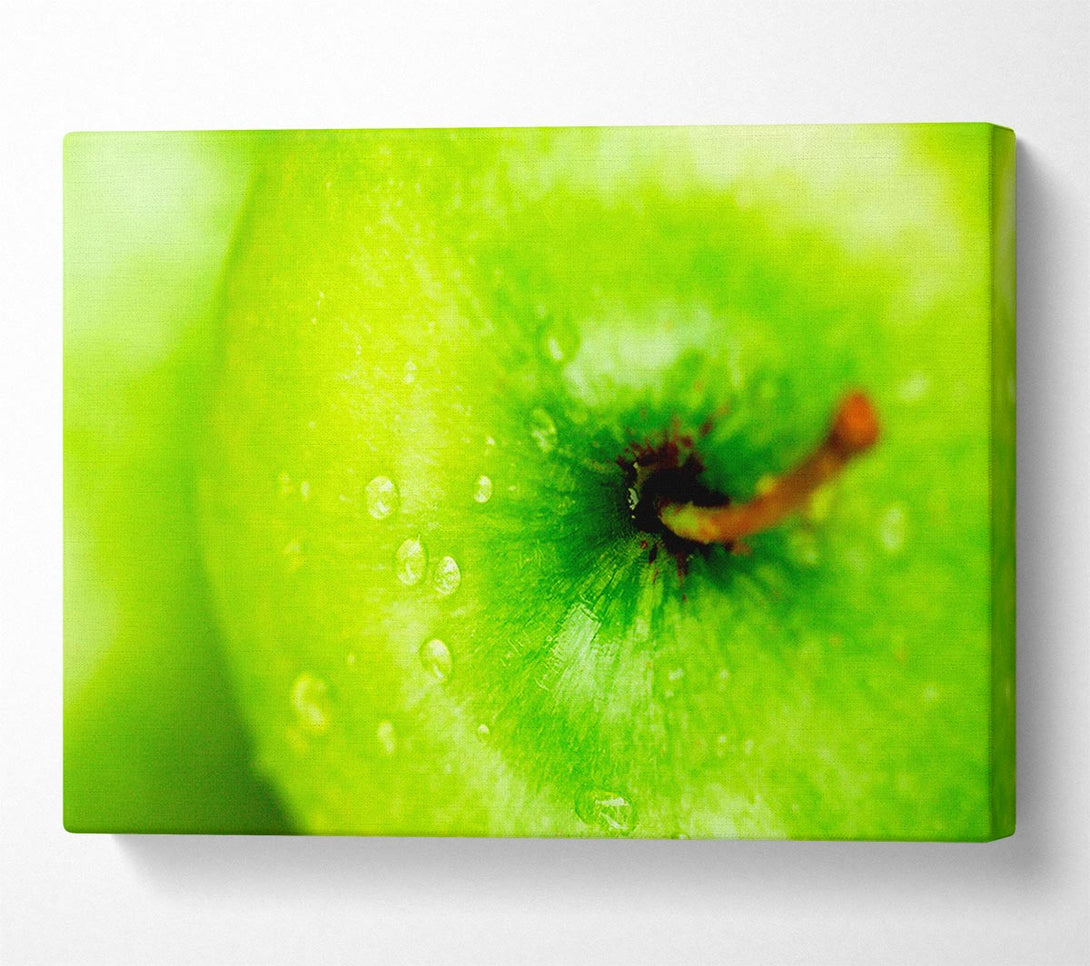  A Canvas Print of Dewdrop Apple Canvas Art