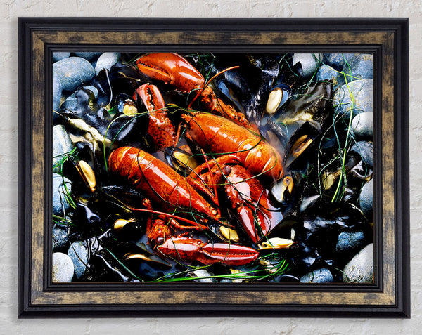 Lobster Pot Framed Print