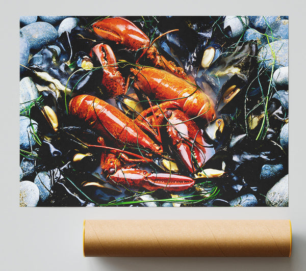 Lobster Pot Print