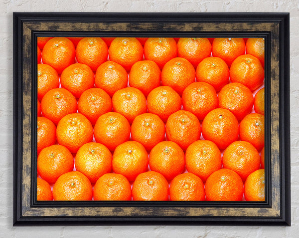 Orange Galour Framed Print